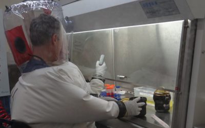 BU NEIDL Scientists Can “See the Enemy,” Making Headway on COVID-19 Research
