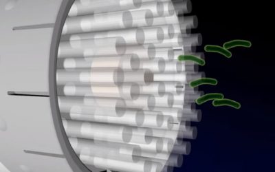 Killing Viruses with UV Light
